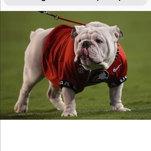 Meet your Posher, Sonya